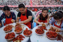 'Tham thì thâm': Nuôi tôm hùm đất hậu quả khó lường