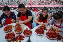 'Tham thì thâm': Nuôi tôm hùm đất hậu quả khó lường