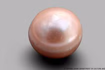 Phát hiện sửng sốt viên ngọc trai 8.000 năm tuổi