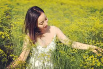 Mê mẩn cánh đồng thì là vàng ươm ở Ninh Thuận đang độ ra hoa