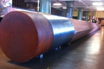 12 thứ độc - dị - lạ đến nỗi không tin chúng tồn tại trên đời