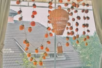 Dàn hồng treo gió càng ngắm càng mê của người vợ “bỏ phố về vườn“