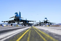 Không quân Đức trình diễn Voi Đi Bộ nhưng không có phi công