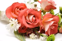 Nhà thơ Trần Minh: Lời chúc chân thành cho người phụ nữ Việt 