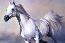 3 tháng tới, 4 tuổi tài lộc vụt sáng, sự nghiệp thăng tiến ầm ầm 