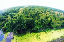 Bí mật ẩn giấu trong rừng U Minh được xếp loại quý hiếm trên TG 