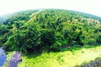 Bí mật ẩn giấu trong rừng U Minh được xếp loại quý hiếm trên TG 