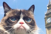 Giật mình tài sản kếch xù của những thú cưng giàu nhất thế giới