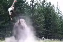 Kinh hãi bò rừng lao tới húc tung bé gái lên không