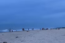 Trưởng công an xã tắm biển bị chuột rút, tử vong tại biển Đà Nẵng