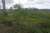 Mua đất 8 năm, bỗng dưng bị tòa bắt trả lại người bán