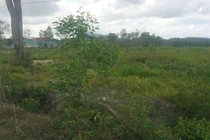 Mua đất 8 năm, bỗng dưng bị tòa bắt trả lại người bán