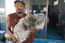 Đi nhặt rác, “vớ” được “cục đá” xấu xí nhưng có thể là “báu vật” giá 15 tỷ