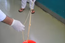 Kinh hãi sán xơ mít dài 7m làm tổ trong bụng người đàn ông ở Quảng Nam