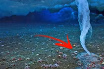 Kinh hãi “ngón tay tử thần” đóng băng mọi sinh vật dưới biển