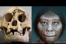 Vì sao người tí hon bỗng dưng "bốc hơi" khỏi trái đất? 