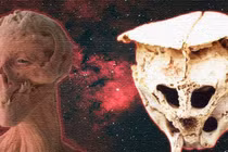 Bí mật kinh hoàng về những hộp sọ kỳ lạ nhất lịch sử
