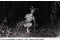 Quá sốc hình ảnh có thật nóng hổi về quái vật người dê 