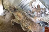 Ngư dân nhặt tượng con vật 2 đầu kỳ lạ ở Cà Mau