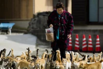 Thánh địa nơi động vật chính là “bá chủ”