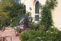 10 năm trả nợ thay mẹ chồng, nàng dâu ôm hận rời đi vì điều không tưởng