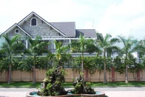 Trồng thần cây gác cổng: Xua đuổi vận xui hút tài lộc tới