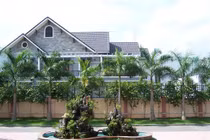 Trồng thần cây gác cổng: Xua đuổi vận xui hút tài lộc tới