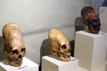 Loạt hài cốt nghi người ngoài hành tinh khiến thế giới sững sờ