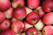 Sai lầm khi ăn táo làm mất hết chất dinh dưỡng, 100% chúng ta đều mắc phải