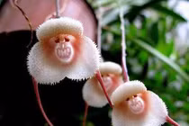 Loạt ảnh "độc" chứng minh sự diệu kỳ của tạo hóa