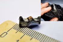 Giật mình “bảo bối” thình lình xuất hiện của người ngoài hành tinh