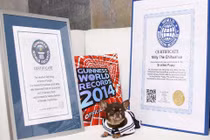 Chó chihuahua lập kỷ lục nhân bản vô tính "khủng" nhất