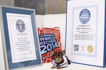 Chó chihuahua lập kỷ lục nhân bản vô tính "khủng" nhất