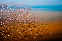 Giải mã rùng rợn “vùng nước tử thần” có thật trên thế giới