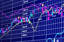 Hai nữ cổ đông lớn Công ty cổ phần Xây dựng 1369 bị phạt là ai?