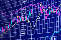 Hai nữ cổ đông lớn Công ty cổ phần Xây dựng 1369 bị phạt là ai?