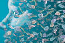 Top “sự thật như đùa” không phải ai cũng biết: Giật mình số 4!