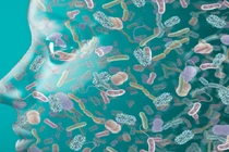 Top “sự thật như đùa” không phải ai cũng biết: Giật mình số 4!