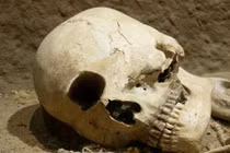 Kinh ngạc bằng chứng trăm năm có thật về người khổng lồ