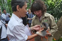 Kỳ thú lễ đặt tên cho voọc tại Thảo Cầm Viên Sài Gòn