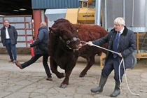 Thủ tướng Anh dắt bò, bản đồ bão 'chế' của TT Trump vào top ảnh tuần