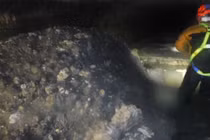 Khủng khiếp thứ kéo ra từ ruột “quái vật béo” khổng lồ