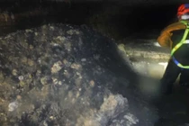 Khủng khiếp thứ kéo ra từ ruột “quái vật béo” khổng lồ