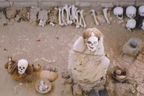 Ám ảnh những bộ hài cốt "cười ngoác miệng" dị nhất hành tinh 