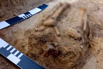 Mở mộ cổ, giật mình thấy đứa trẻ “ma cà rồng” chôn tư thế lạ 