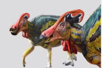 Giật mình phát hiện loài khủng long biết “nói chuyện” 72 triệu năm trước