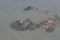 Bất ngờ phát hiện xác tàu bị vùi lấp 120 năm