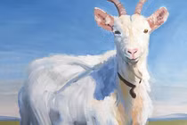 Dự đoán ngày mới 5/3/2024 cho 12 con giáp: Sửu chật vật, Mùi mạnh mẽ