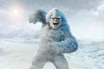 Giả thuyết sốc: Quái vật Bigfoot, người tuyết Yeti chỉ là... con gấu lớn? 