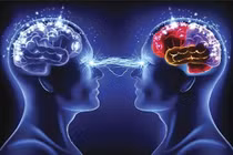 Lời giải chấn động về hiện tượng “thần giao cách cảm" huyền bí 